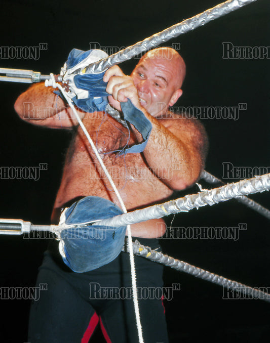 George "The Animal" Steele