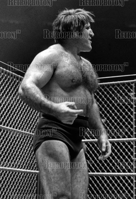 Bruno Sammartino 6